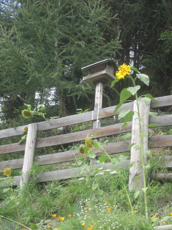 Ferienhaus Fichtenheim Prägraten Exterior foto